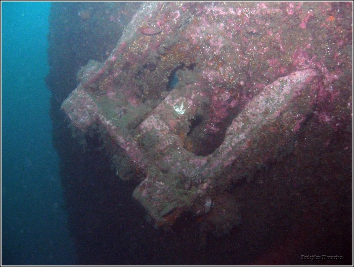 PA050055.JPG