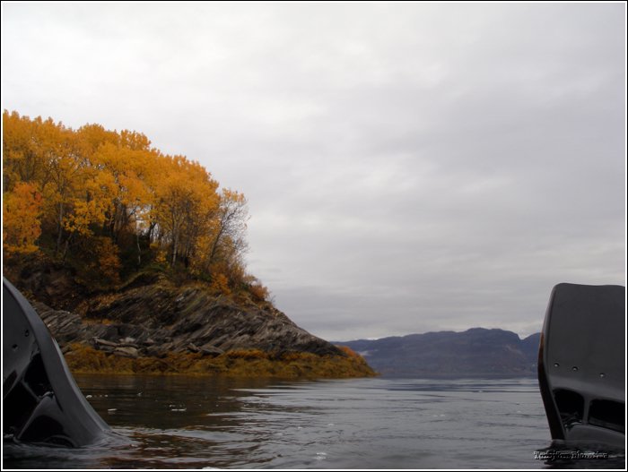PA050115.JPG